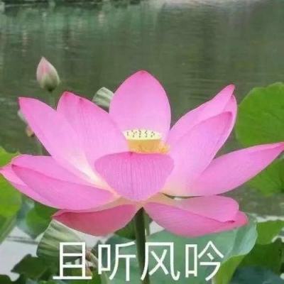 中国正能量｜“守艺人”：“守”的是“艺...